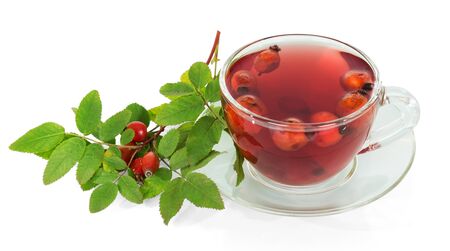 Decoction of rose hips in Cup with saucer, branch with leaves and fruits isolated on white backgroundの写真素材