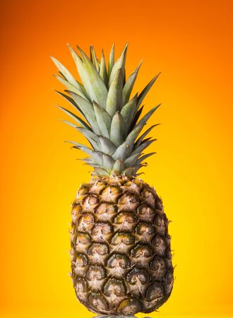 Big pineapple with stem on bright background. Close upの写真素材