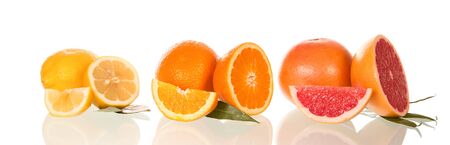 Grapefruits, oranges and lemons, pieces of fruit, beautifully laid on a white backgroundの写真素材