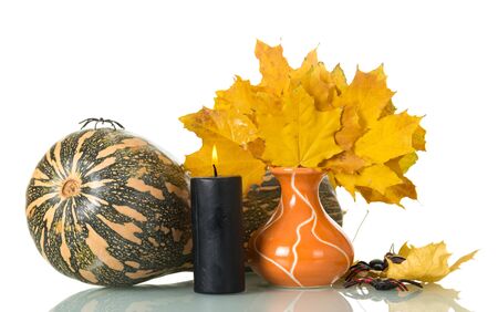 Autumn composition, dry leaves, pumpkin, candle isolated on white backgroundの写真素材