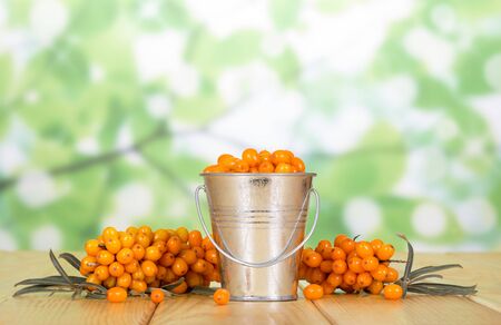 Bucket full of sea buckthorn berries, branches with berries and leaves on abstract green background.の写真素材