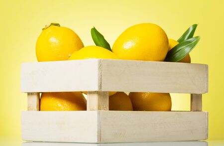Lemons be in wooden box on light yellow backgroundの写真素材