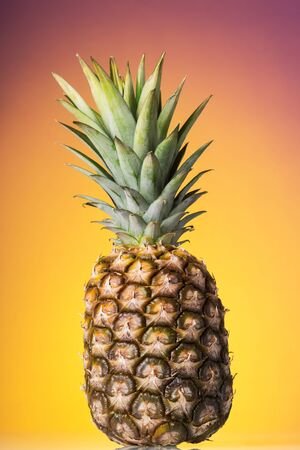 Large ripe pineapple with rind and green stem on bright backgroundの写真素材