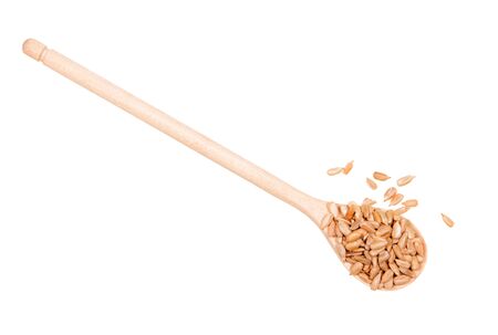 Peeled fried sunflower seeds in a wooden spoon isolated on white background.の写真素材