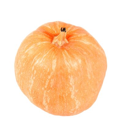 Ripe whole pumpkin close-up isolated on white background.の写真素材