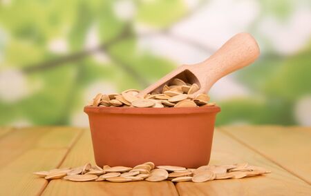 A bowl with pumpkin seeds and a wooden scoop, seeds near on an abstract green background.の写真素材