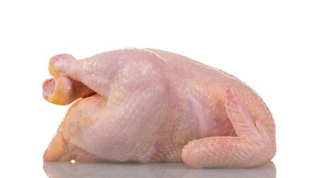 A whole raw chicken carcass isolated on white background.の写真素材