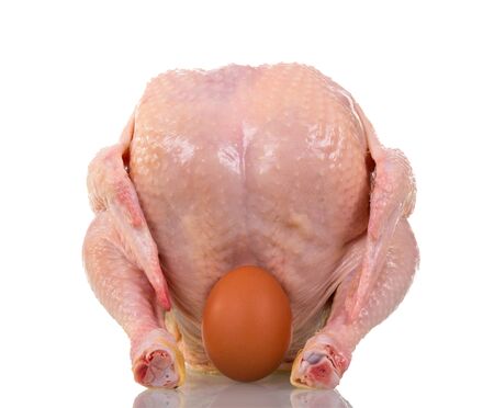 A whole raw chicken carcass and egg isolated on white background.の写真素材