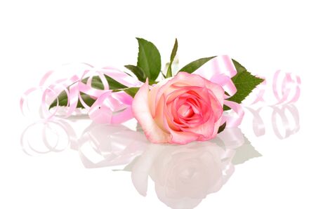 Rose with pink ribbon Valentine's Day isolated on white background.の写真素材