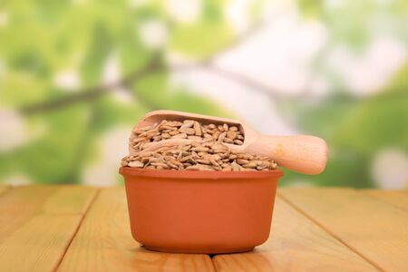 A bowl and a wooden scoop with peeled fried sunflower seeds on an abstract green background.の写真素材