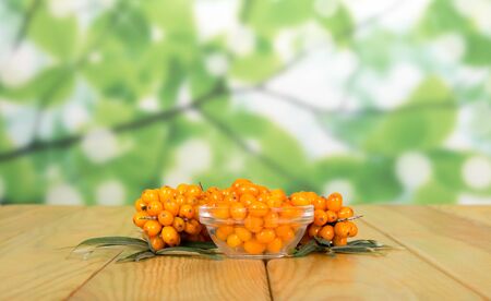 A bowl of berries of sea-buckthorn, branch with ripe berries and leaves on abstract green background.の写真素材