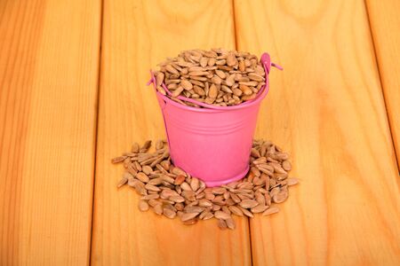 Pink bucket with peeled fried sunflower seeds and seeds around on a light wood background.の写真素材