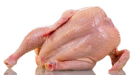 A whole raw chicken carcass tilted isolated on white background.の写真素材