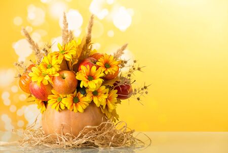Original composition of fruit, flowers and thorns in pumpkin on mat made of sisal on yellow backgroundの写真素材