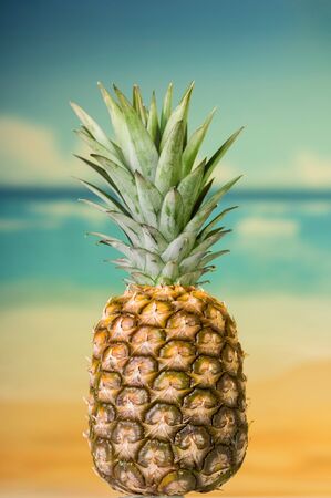 Large ripe pineapple on background of tropical natureの写真素材