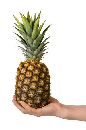 Big pineapple in female hand isolated on white backgroundの写真素材