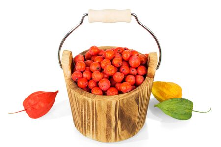 Wooden bucket filled with Rowan berries, near boxs of physalis isolated on white backgroundの写真素材