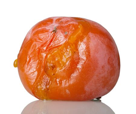 Spoiled rotten persimmon fruit isolated on white backgroundの写真素材