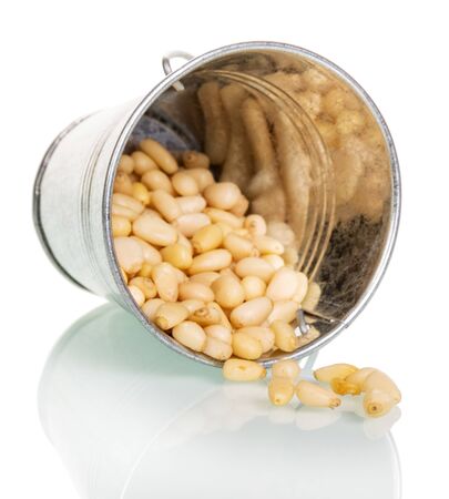 Pine nuts redischarge from an overturned bucket isolated on white background.の写真素材