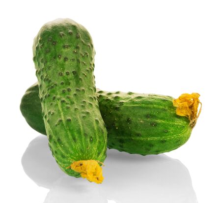 Two fresh cucumber with flowers isolated on white background.の写真素材