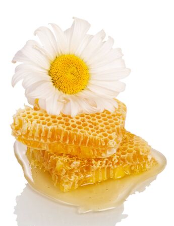 Honey comb and daisy isolated on white background.の写真素材