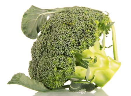 Fresh broccoli close-up isolated on white background.の写真素材
