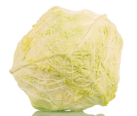 Chinese cabbage closeup isolated on white background.の写真素材
