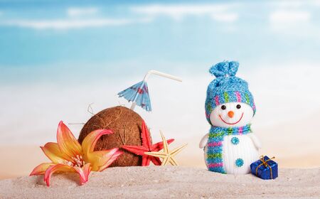 Coconut, starfish, flower, snowman and Christmas present in the sand against the sea.の写真素材