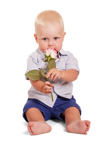 Beautiful little boy is sitting and holding a rose isolated on a white background.の写真素材
