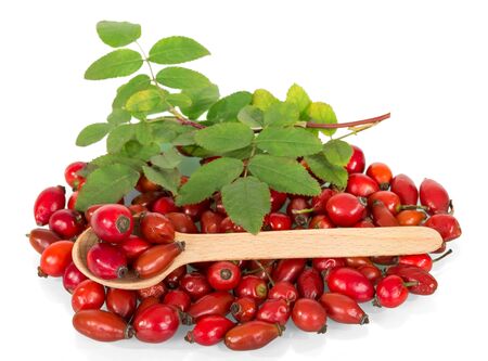 A pile of dog rose berries in a wooden spoon, green leaves isolated on white background.の写真素材