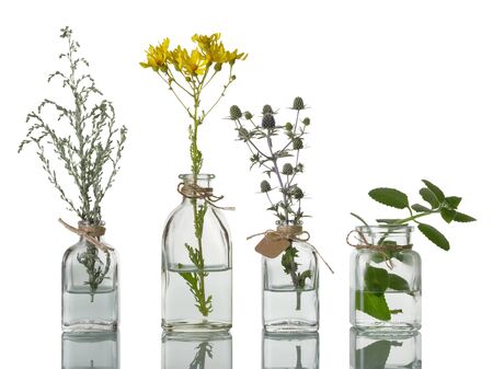 Medicinal plants in vintage pharmaceutical bottles closeup isolated on white backgroundの写真素材