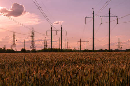 High voltage power lines in the background of clouds. Power distribution station. High voltage power transmission towerの写真素材