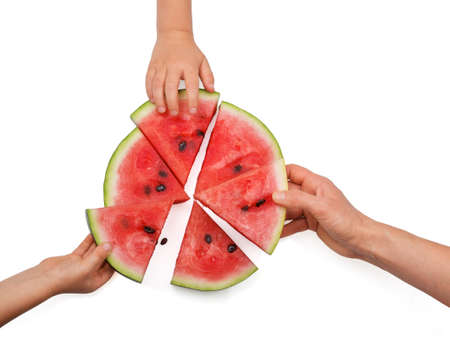 Slices of fresh juicy watermelon sorted by hands isolated on white backgroundの写真素材