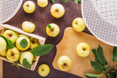 Top view. Yellow juicy apples. Preparation for dryingの写真素材