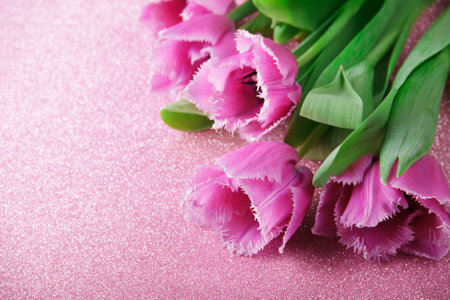 Women's Day. March 8. Curly beautiful tulips on a pink with glitter. Top viewの写真素材