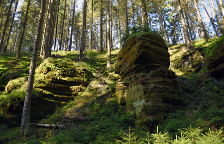 Slope with rocks in spring national parkの写真素材