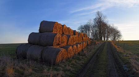 Sunrise in north of Bohemia in spring time