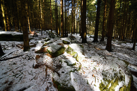 Rocks in snow forest with sunshineの写真素材