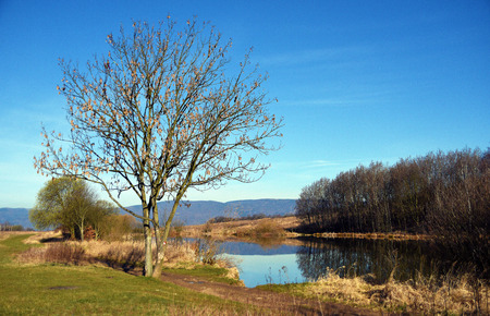 Pond on hill in town Usti nad Labemの写真素材