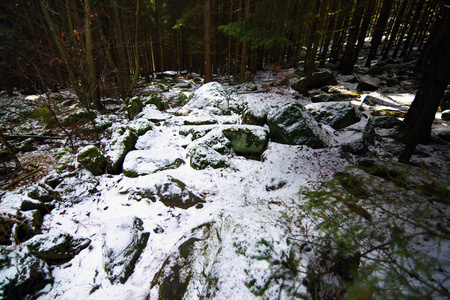 Rocks in snow forest with sunshineの写真素材
