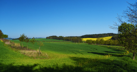 Green landscape in south of Bohemiaの写真素材
