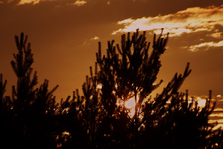 Sunset near small town Okrisky in summer sunny dayの写真素材