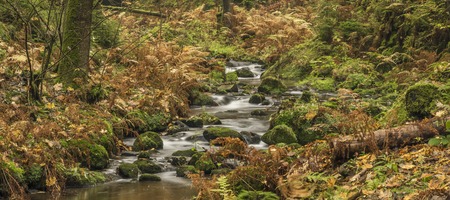 Autumn time near river Krinice in national parkの写真素材
