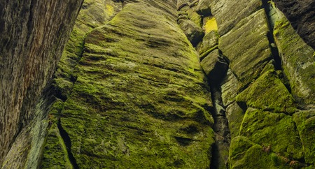 Color rocks near river Krinice in national parkの写真素材