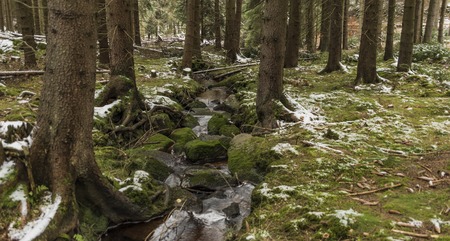 Lobezsky creek in snow forest in autumn timeの写真素材