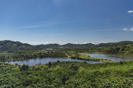 Coffee bushes near coffee farm near Da Lat city in Vietnamの写真素材