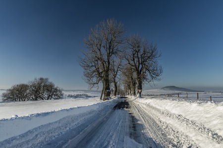 Winter road near Krasny Les village in north Bohemiaの写真素材