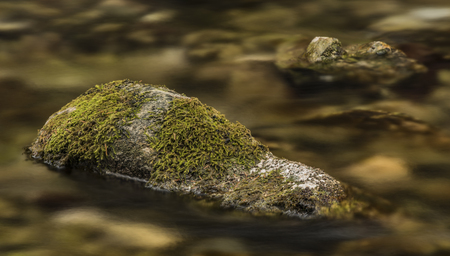 Biely creek with stones and clean water in Slovakia mountainsの写真素材