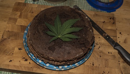 Chocolate marijuana cake with marijuana green butterの写真素材
