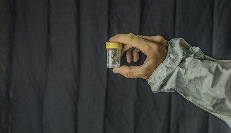 Medical marijuana in transparent and yellow plastic box in handsの写真素材